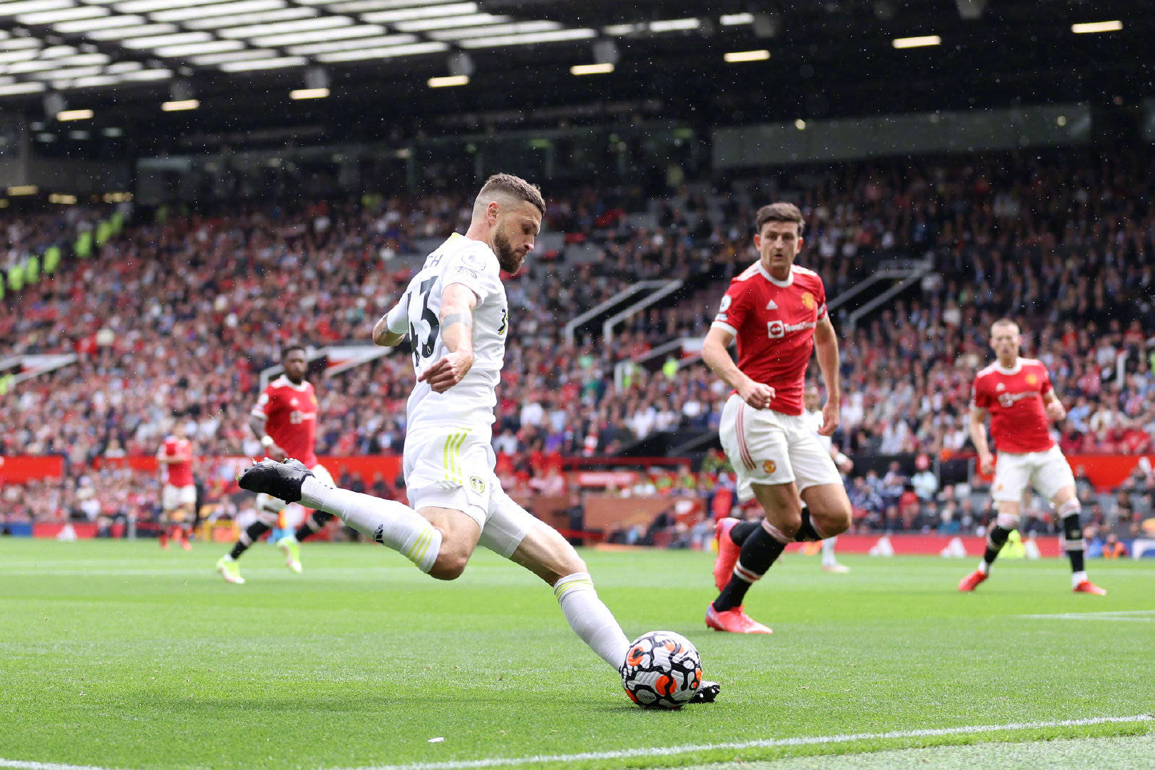 招募了多位 招募了多位